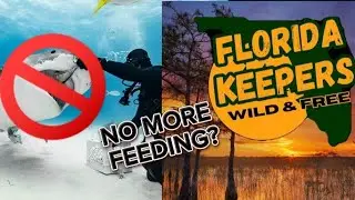 Florida Keepers Pod Ep. 2| Shark diving ban coming to Florida? #sharkdiving #floridakeepers #florida