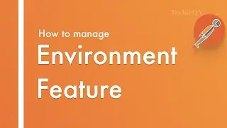 How to use Environment future in Postman tool?