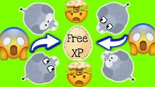 *NEW* ELEPHANT XP GLITCH WORKING 2023!!