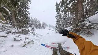 Sunday Pow Day | Alta Ski Area | 1.4.2026