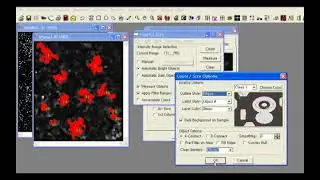 Image Pro Plus 7.0 Calculating
