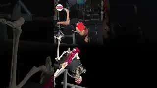 Single leg back and hip extension on a GHD machine!