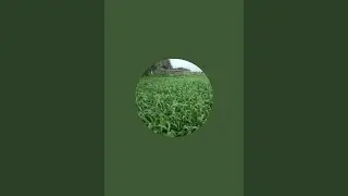 Hosen   is live! কুকুর যখন পাগল হয়