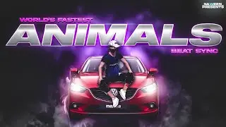 Martin Garrix - Animals | World's Fastest Beat Sync Montage #ssgraphicscontest @LearnWithShivam1