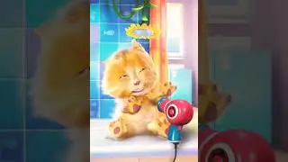 Talking Ginger app 