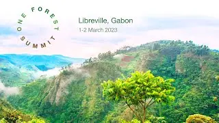 Tirer parti des mécanismes de financement innovants pour la nature (VF)