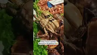 Kiedy chcesz zwiedzić Wenecję w 24 godziny 🤣