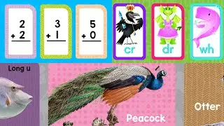 Educational Flash Cards on Anywhere Teacher - Fun Practice Cards for Learning Online!