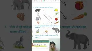 Match Animal with Their Favorite Food | Kids Learning Activity #shorts
