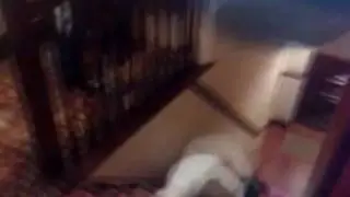 GF Exercise Ball