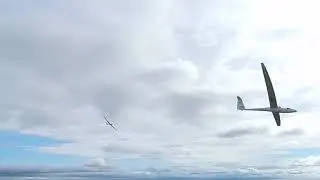 Leek morlands gliders