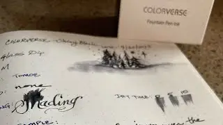 🌟 Colorverse Shiny Black Shimmer ink! SHIMMERTASTIC!!!