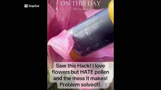  I Love Flowers but these flowers make a mess and make me sneeze! I saw this hack and LOVE it!