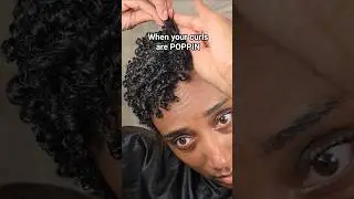 $10 Wash n go #washandgo #shortnaturalhair #definedcurls