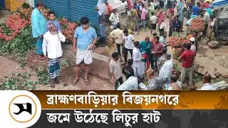 ব্রাহ্মণবাড়িয়ায় জমে উঠেছে লিচুর হাট, প্রতিদিন বিক্রি ৮০ লাখ টাকার | Brahmanbaria | Samakal News