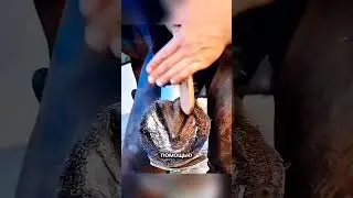 Он подарил лошади новое копыто 🥹❤️