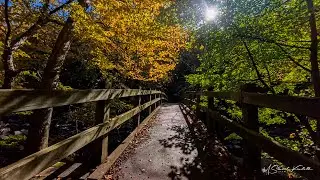 MTBiking the Fall Season In Rock Creek Park