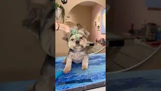A makeover of a lifetime!