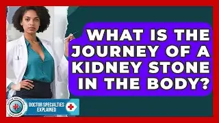 What Is The Journey Of A Kidney Stone In The Body? - Doctor Specialties Explained