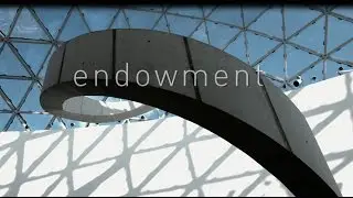 The Dal&iacute; Museum: Endowment
