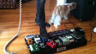Wah Baby Italian vintage wah wah pedal
