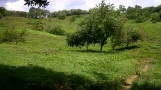 La Macoca - Banda 19 de Marzo de Laguneta