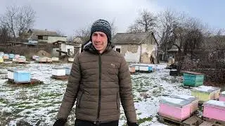 Краштест пасеки Морозами 🥶🥶🥶🐝
