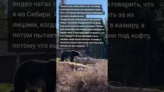 #читать #текст #рассказ #рассказы #история #истории #историяизжизни #история_из_жизни #историяжизни