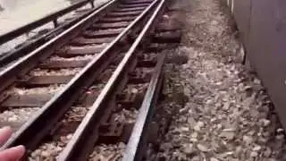 Sneaking on the train
