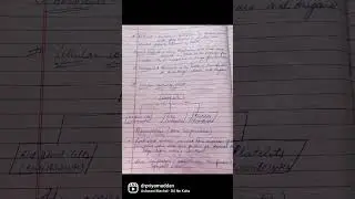 Anatomy bsc.nursing 1st year (1st semester) handwritten notes of blood #shorts