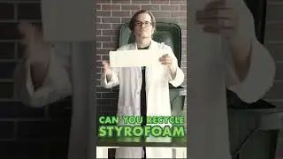 In the Bin: Can You Recycle Styrofoam?