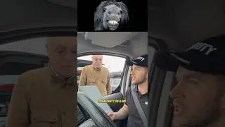 Украденная лошадь Джессика 🐴 #lloydylloyd #comedyprank #prank #horse