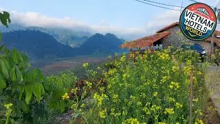 Mộc Ch&acirc;u Peachy Garden Homestay | Moc Chau, Vietnam | Hotel Review 🛏️