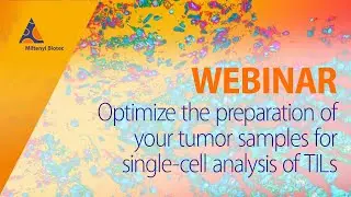 Optimize the preparation of your tumor samples for single-cell analysis of TILs [WEBINAR]