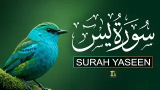 Surah Yasin سورۃ یس Full | Beautiful Holy Quran Recitation To Calm The Soul | RH Holy Quran