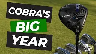 Is it finally the Year Cobra Goes Big?
