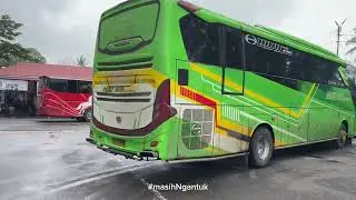 Rayola Otw Palembang || Laporan Terminal Weekend ,  Bus Npm Dan Bus Gumarang Jaya Ramai Penumpang 