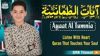 Ayat of Tranquility | Ayat Al Tamaninah | Calm Quran Recitation | Qari Ahmed Shaban
