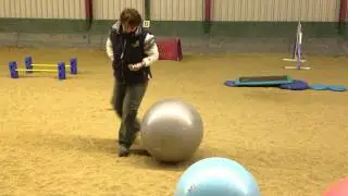 Basisoefening voor de Treibball (12 o'clock)