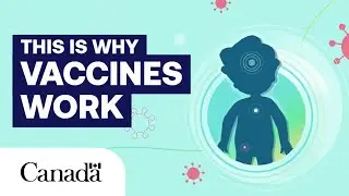 How Vaccines Help Your Body Fight Disease