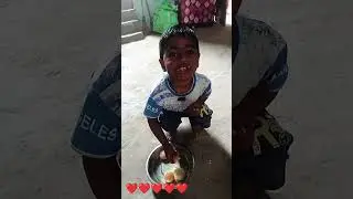 RASGULLA. BOY