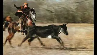 Toada da Vaca Araçá - Ailton Aboiador & Marinho