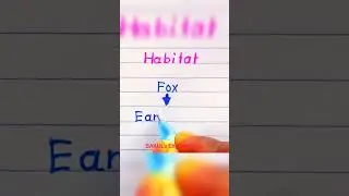 Where does the fox live | Habitat of fox