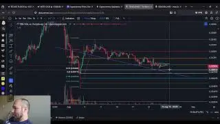 The Bitcoin Bull Is Winding Up For A 10X Move (OR MORE) $TBB