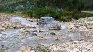 Beetle Expedition in Peru II (2010)