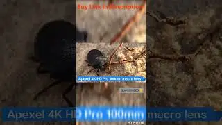 APEXEL 100mm Macro Lens Camera #shorts