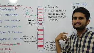 Ch.23 Lec.8 Human Genome Project  Urdu/Hindi Lecture Fsc, MDCAT, NUMS,  By M Bilal Chaudhary.