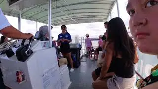 Clearwater Marine Aquarium Sea Life Safari Tour.