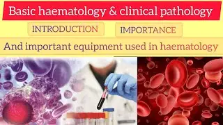 Introduction, Importance & Equipment used in haematology laboratory|Unit-1st (topic-1)| @BMLSACADEMY