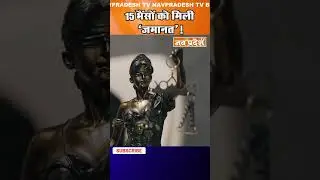15 भैंसों को मिली &lsquo;जमानत&rsquo;! #chhattisgarhhighcourt #farmersrights  #lawnews    #legalupdates #shorts